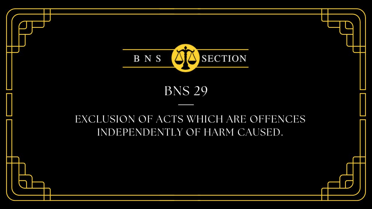 BNS Section 29