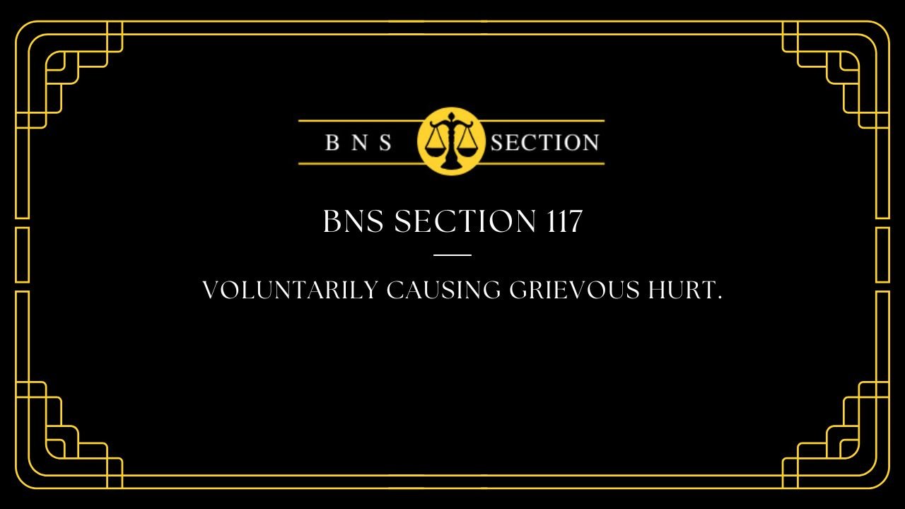 BNS Section 117