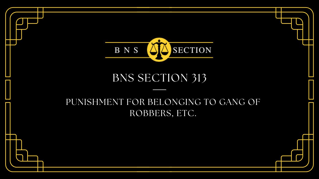 BNS Section 313