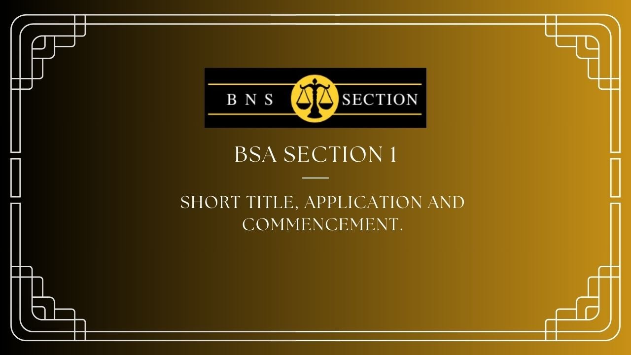 BSA Section 1