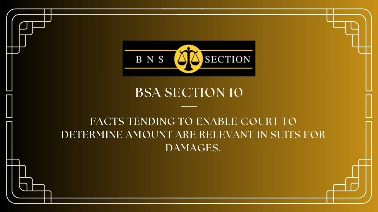 BSA Section 10