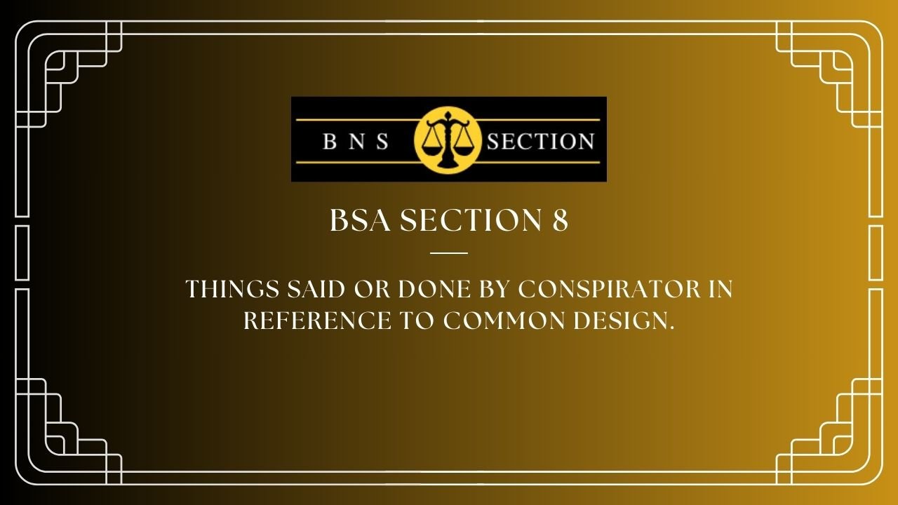 BSA Section 8